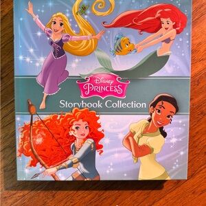 Disney Princess Storybook with Purple and Red Highlights